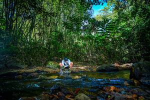 BIB: 
                            <button type="button" onclick="openModal(21764734)" class="btn btn-primary btn-sm float-right btn-popup" data-toggle="modal" data-target=".modal-high-quality">
                        <i class="fas fa-shopping-cart"></i> Add to Cart
                    </button>
                                            <button type="button" onclick="isThisMe(21764734, true)" class="btn btn-success btn-sm float-right btn-popup btn-isme hidden" data-toggle="tooltip" data-placement="bottom" title="นี่คือรูปของคุณใช่ไหม คลิกที่นี่เพื่อเอาเข้าอัลบั้ม">
                        <i class="fas fa-plus"></i> Add to album
                    </button>
                    <button type="button" onclick="isThisMe(21764734, false)" class="btn btn-warning btn-sm float-right btn-popup btn-isnotme hidden">
                        <i class="fas fa-ban"></i> Remove from album
                    </button>